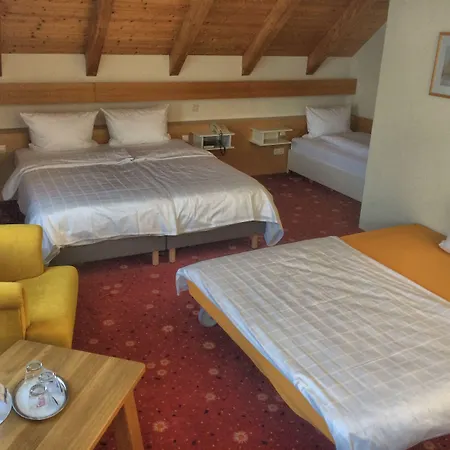 Akzent Hoehenblick 3* Muehlhausen im Taele