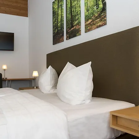 Akzent Hoehenblick Hotel Muehlhausen im Taele