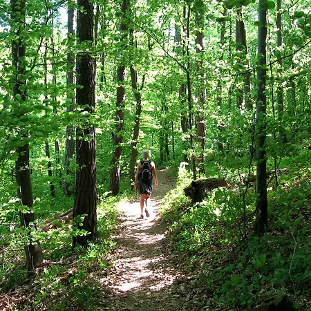 Hotell Akzent Hoehenblick Muehlhausen im Taele