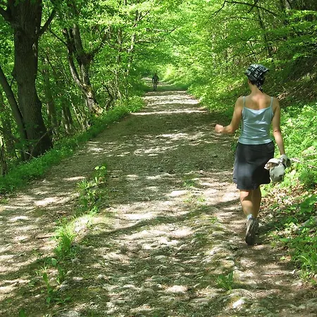 Hotell Akzent Hoehenblick Muehlhausen im Taele